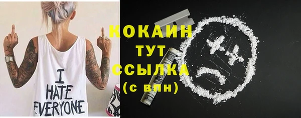 PSILOCYBIN Осинники