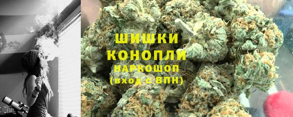 PSILOCYBIN Осинники