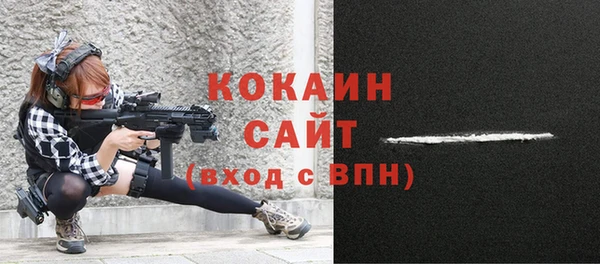 прущие крисы Няндома