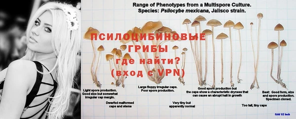 прущие крисы Няндома